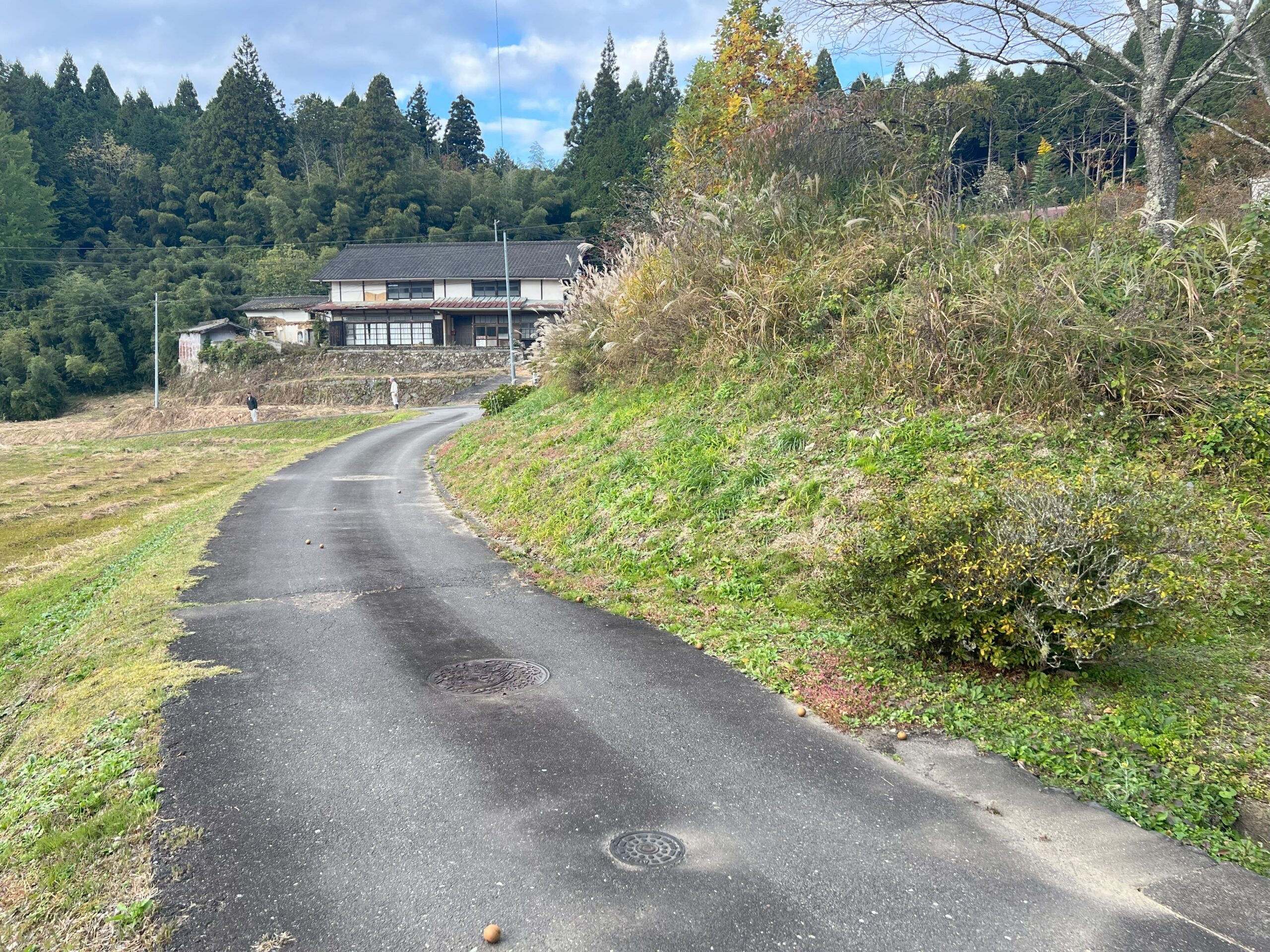 法面保護　コンクリート工事前3