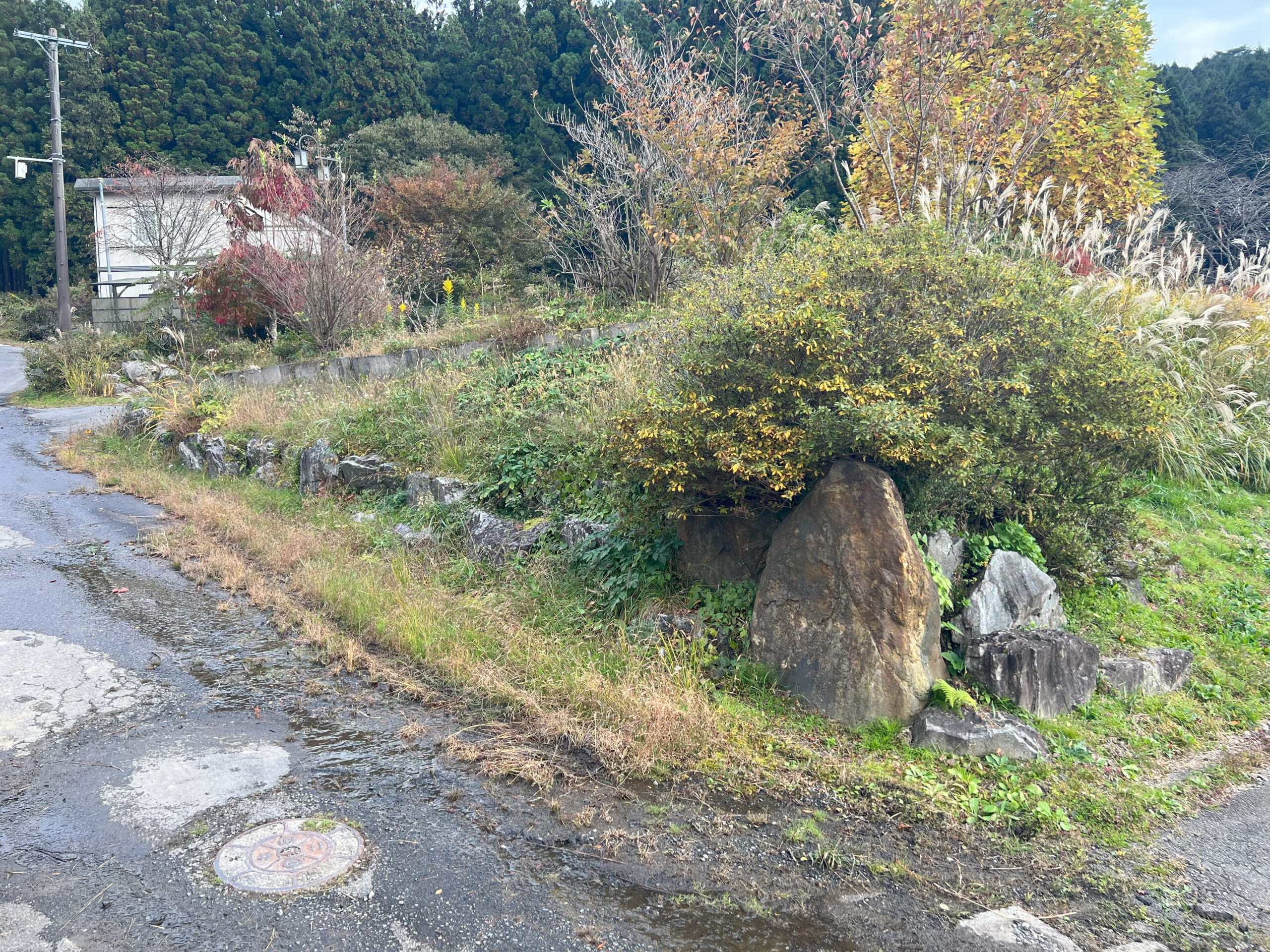 法面保護　コンクリート工事前