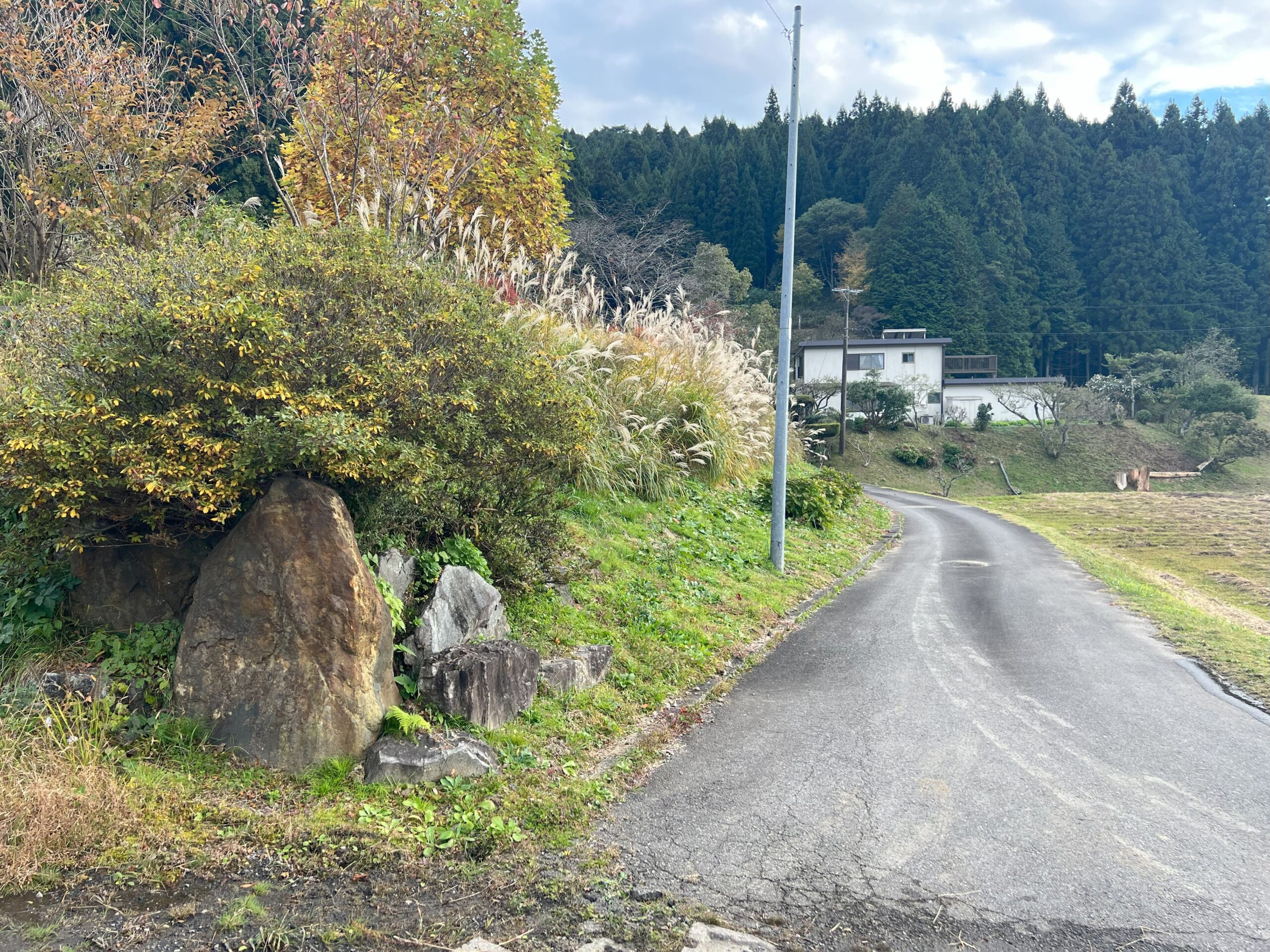 法面保護　コンクリート工事前2