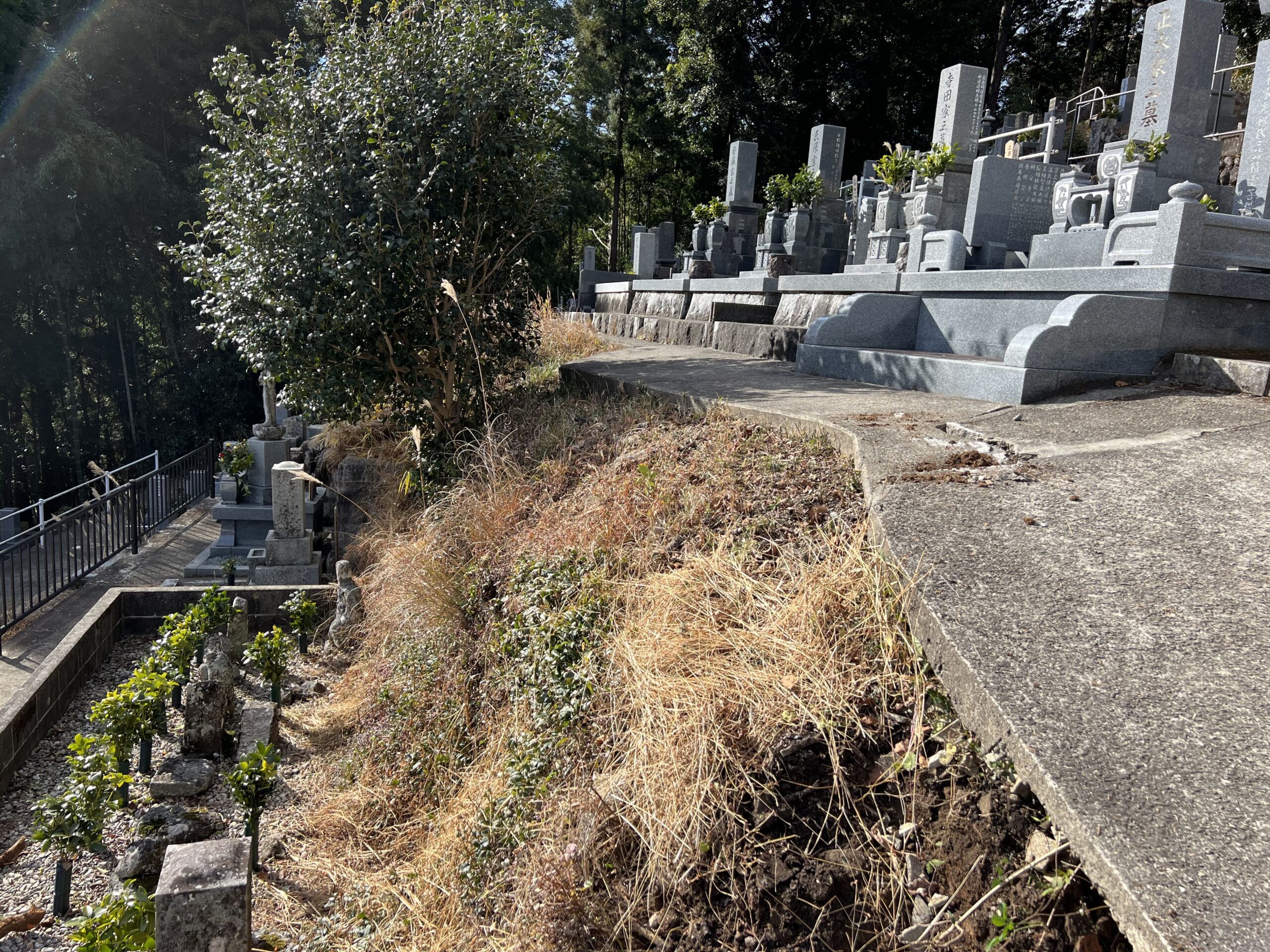 墓地　コンクリート工事　作業前